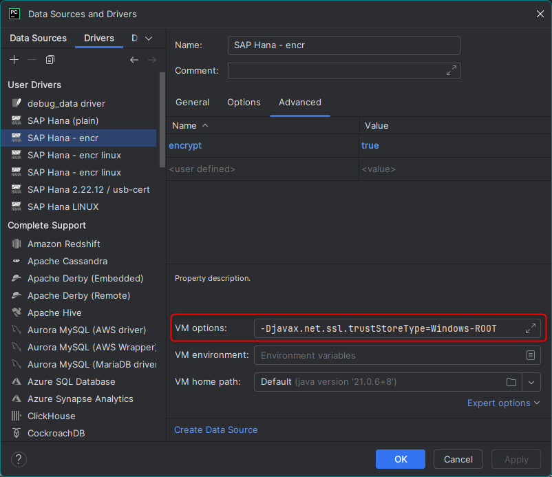 Windows - Jetbrains Data Source Driver Dialog mit VM Option